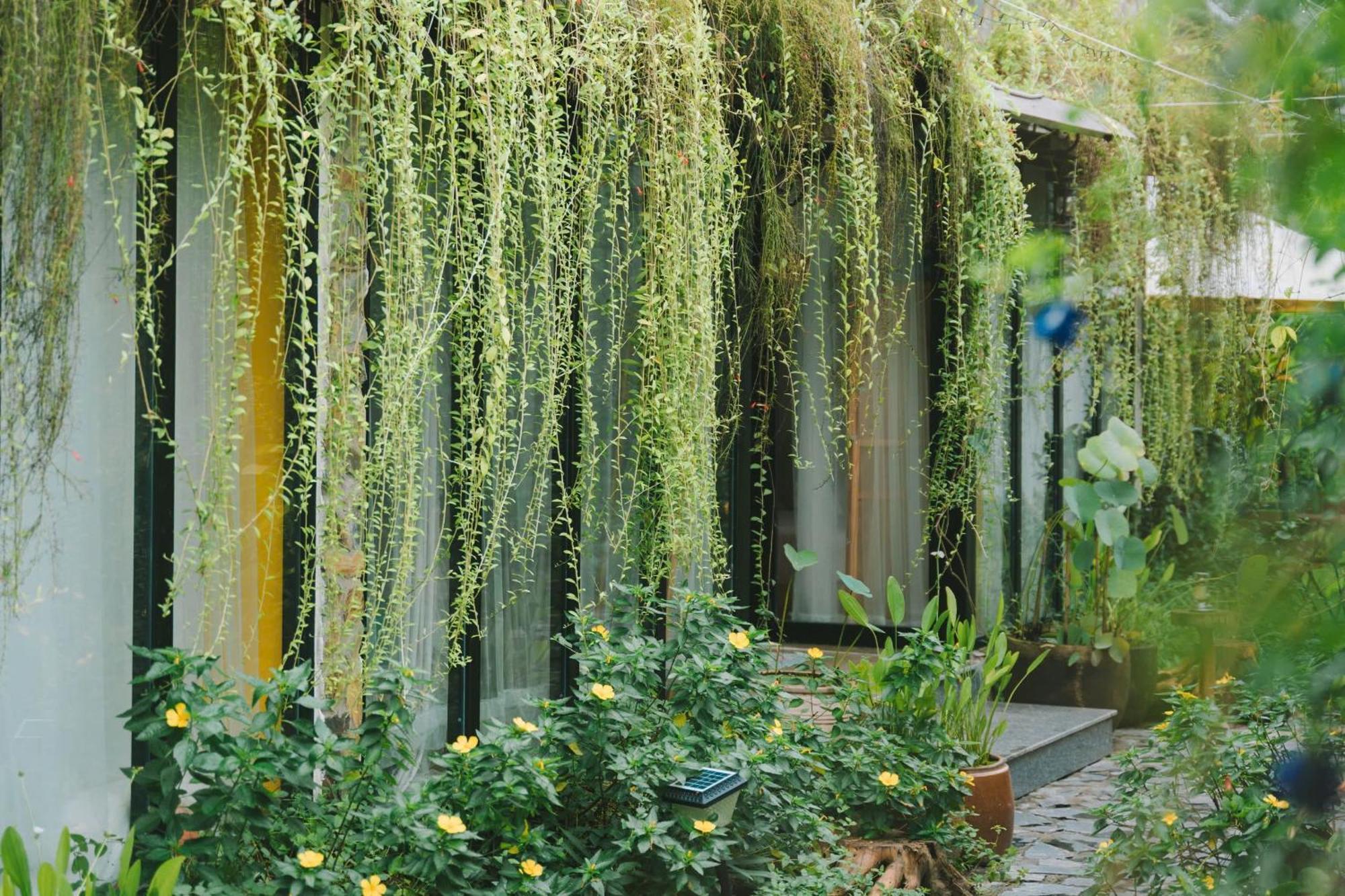 Ben Do Xua Homestay & Coffee Cai Rang 外观 照片