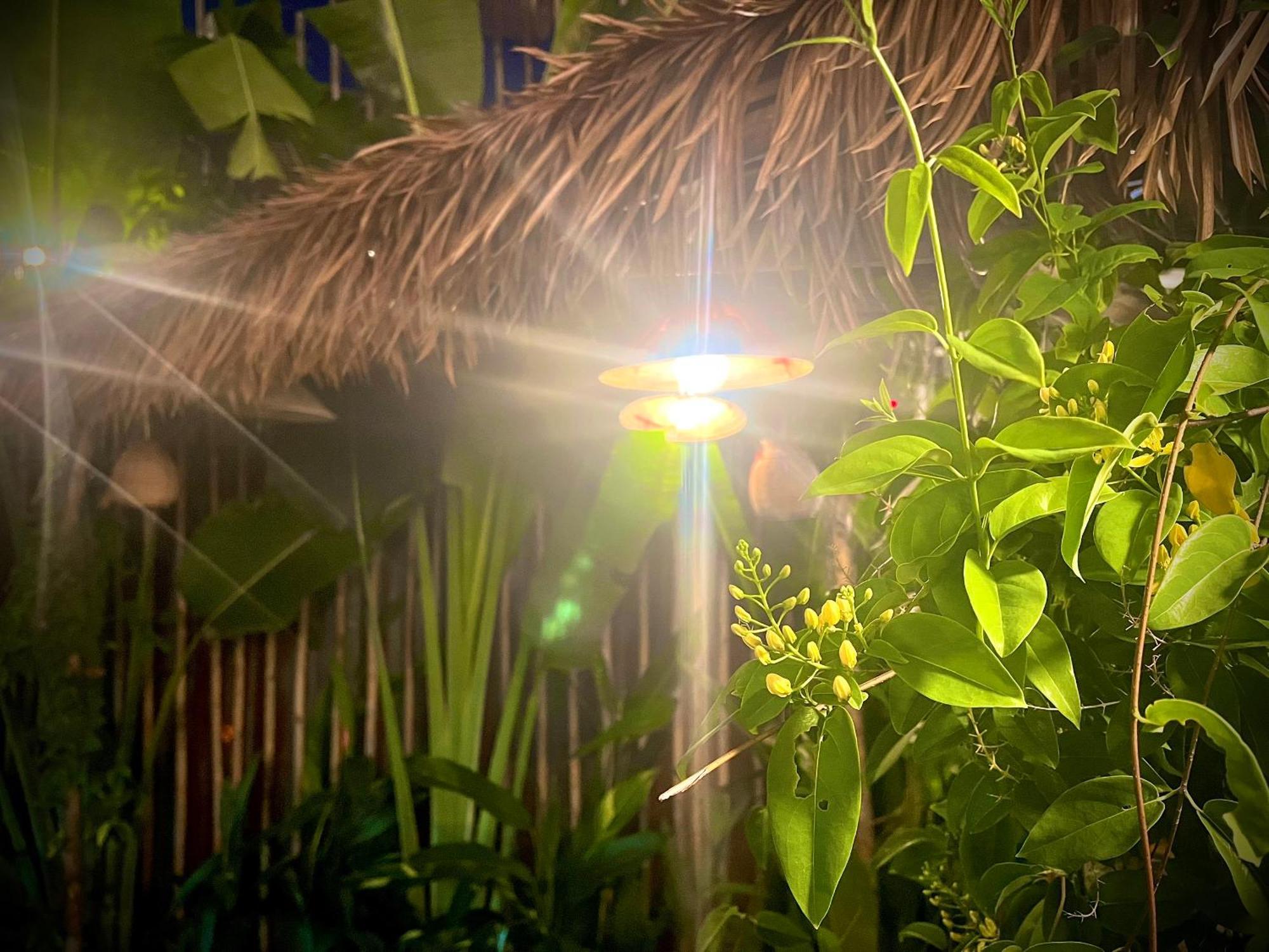 Ben Do Xua Homestay & Coffee Cai Rang 外观 照片