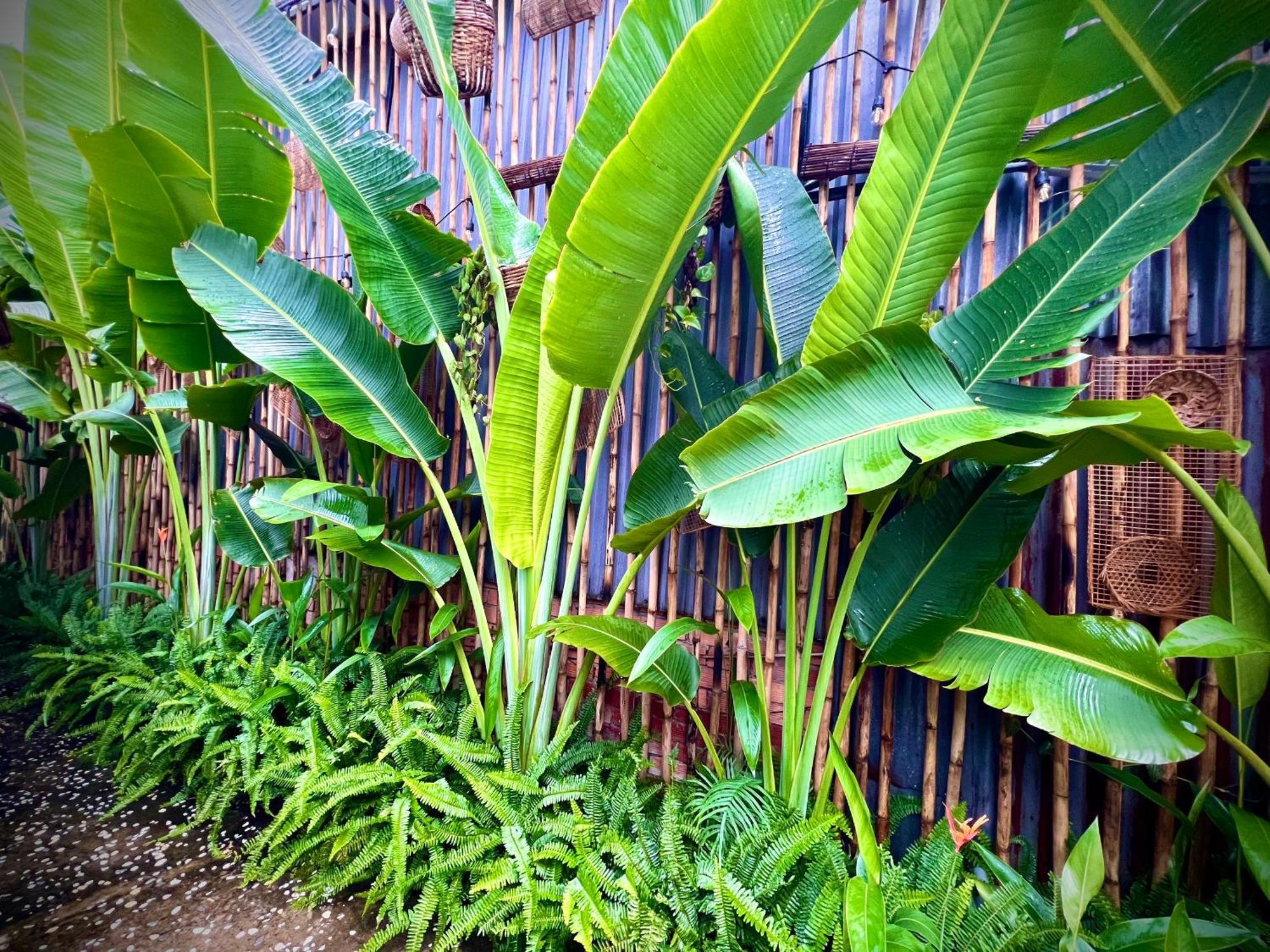 Ben Do Xua Homestay & Coffee Cai Rang 外观 照片
