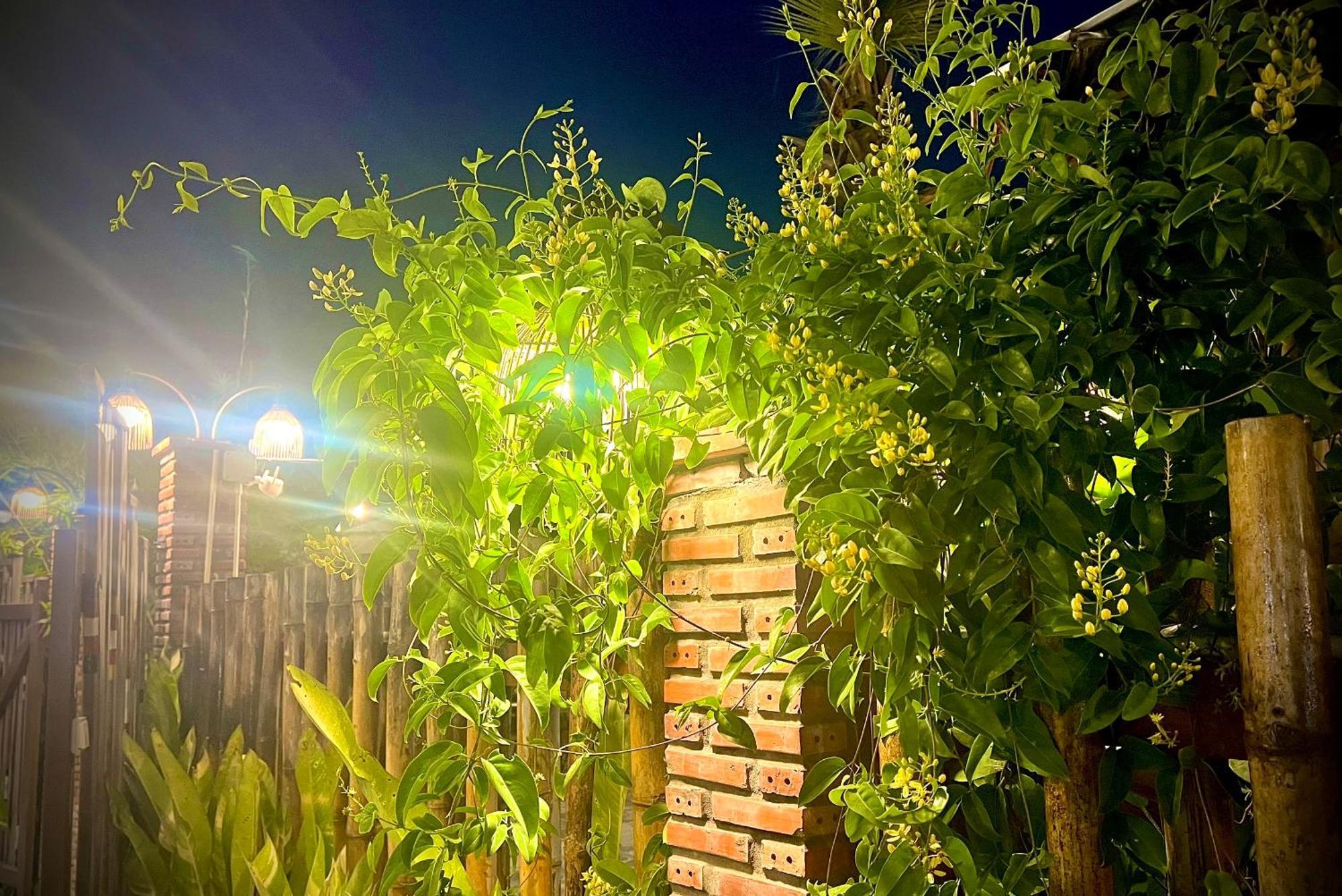 Ben Do Xua Homestay & Coffee Cai Rang 外观 照片