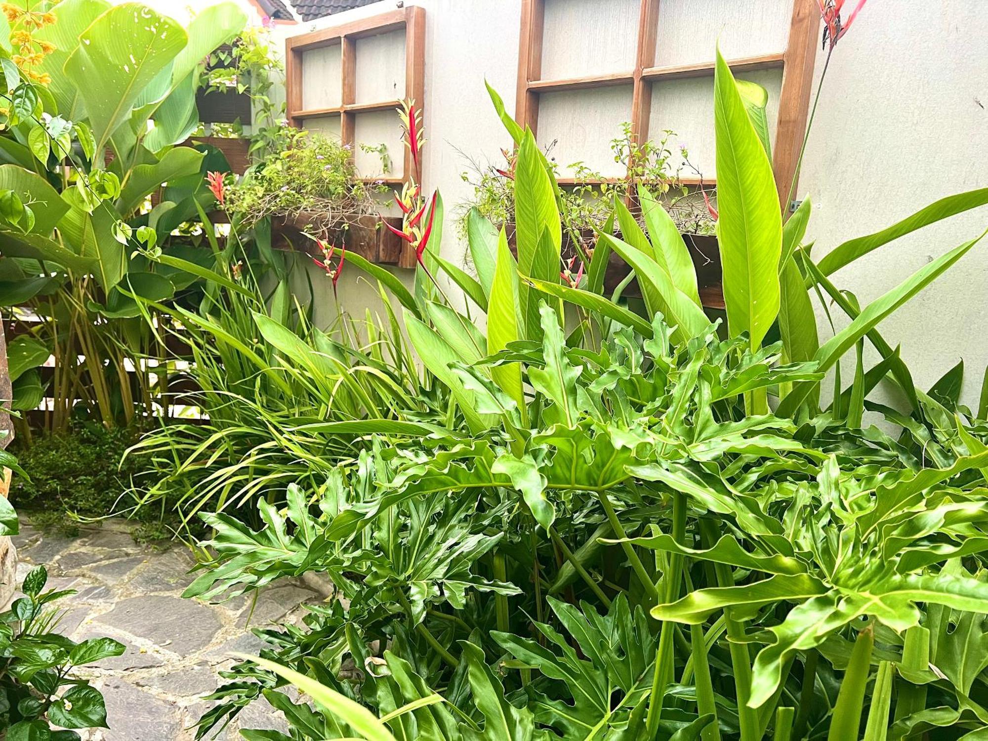Ben Do Xua Homestay & Coffee Cai Rang 外观 照片
